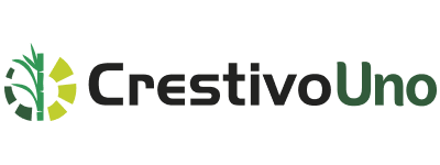 creativo_uno.png