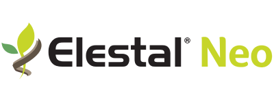 elestal_neo.png