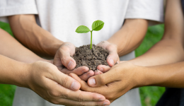 Salud, Seguridad y medio ambiente