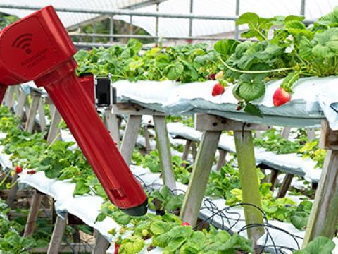 ¿Robots en el campo?