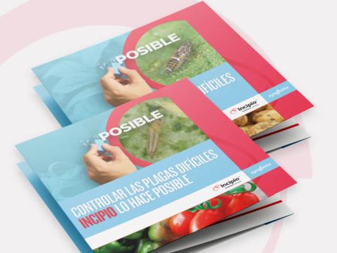 webform image