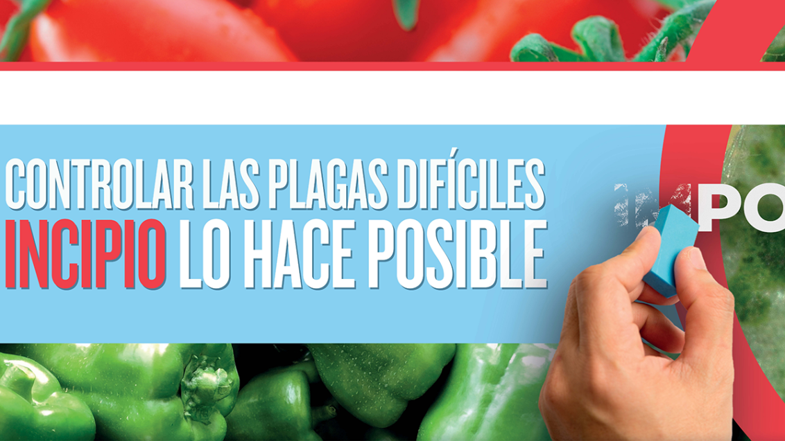 bannertomate1cac.png