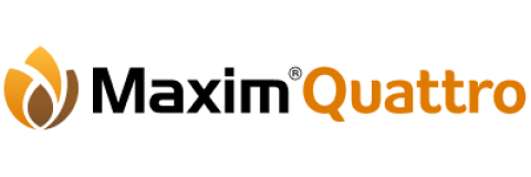 maxim_quattro.png