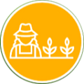 mejora