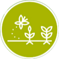 renueva