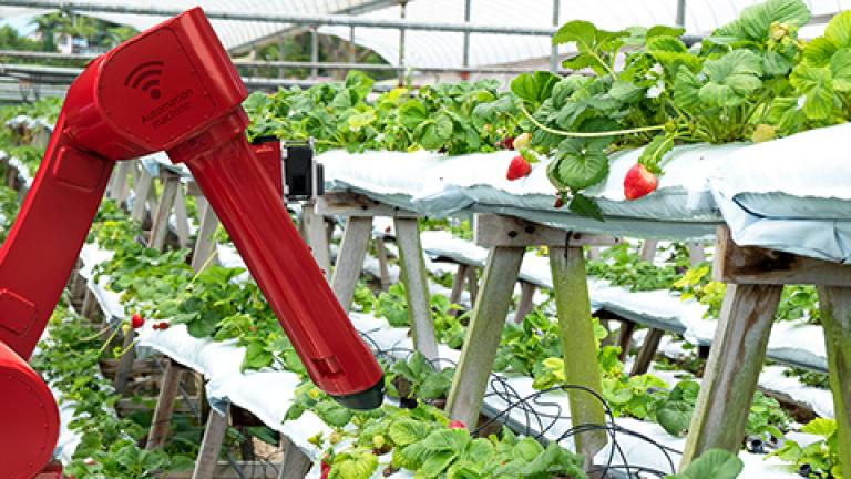 ¿Robots en el campo?