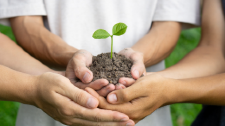 Salud, Seguridad y medio ambiente