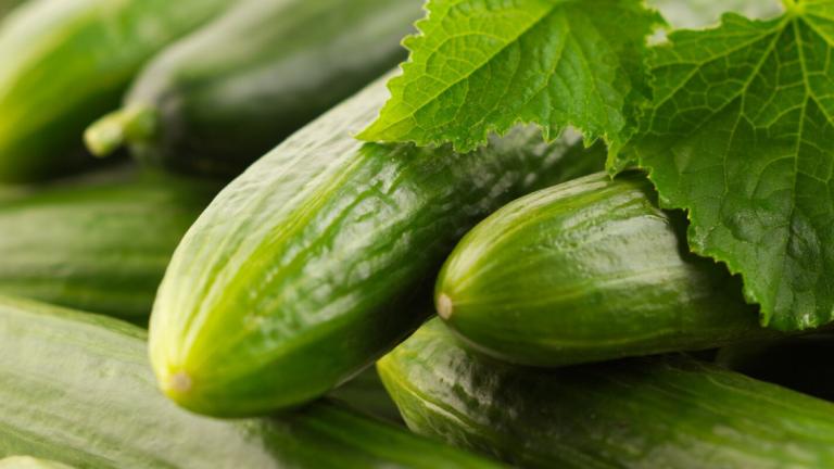 pepino.jpg