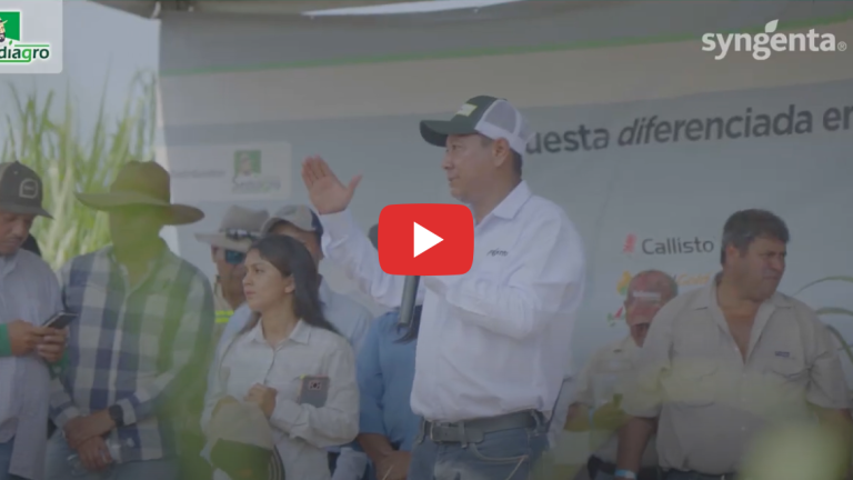 Synergia Caña