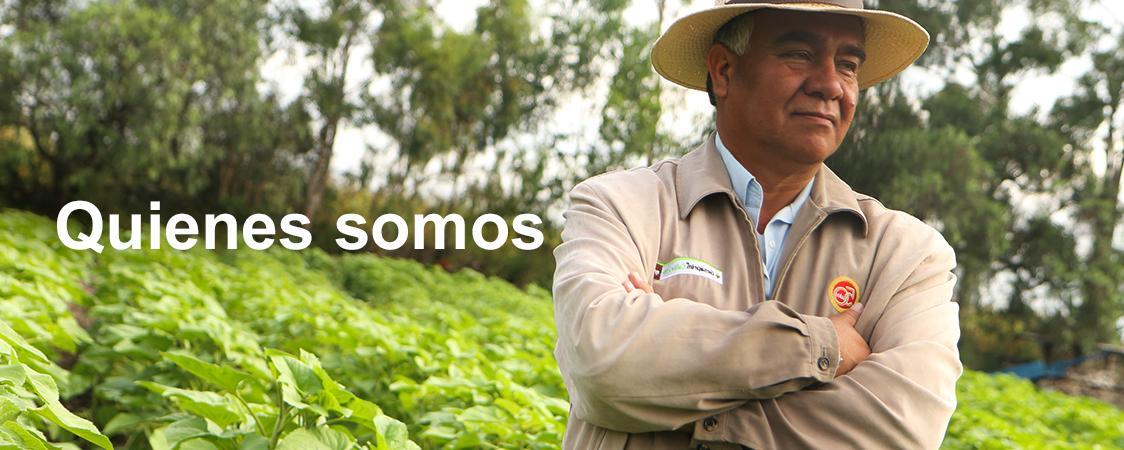 quienes-somos